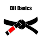 com.mr.bjjbasics