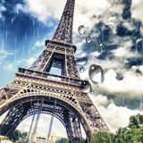 com.blackbirdwallpapers.rainyparis