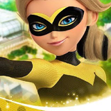 com.ir.queenbeei