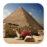 ir.appwork.livewallmesr