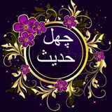 lvf.vls.nvx