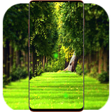 com.GreenNatureWallpaper.naturewallpaper.greenwallpaper.background