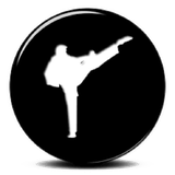 ir.sefr.ta.sade.amozesh.karate.d