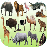 com.sra_ht.janevarshenasi