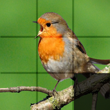 com.appsdgl.photoPuzzle