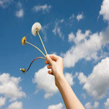 abolfazl.zendegibehtar