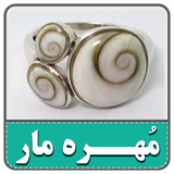 com.alireza.mohremira