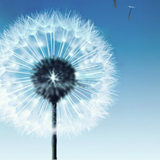 com.gau.go.launcherex.theme.GSIII