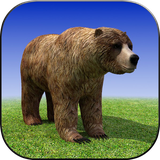 com.bear.madness.simulator