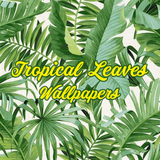 com.HD.Wallpapers.Free.Tropical.Leaves