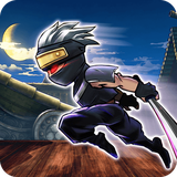 rt.mj.shadow