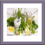 com.example.ptp_araghgiya