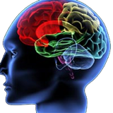 ir.ravanshenase.akhlagh.dar.afrad.d