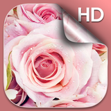com.DreamPinkRosesLiveWallpaper