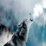 com.andromo.dev509263.app578292