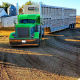 com.SystemTruck.PeterbiltWallpapers