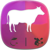 com.phoinix_books_h.damdare