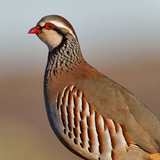 com.andromo.dev844715.app971475