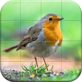 com.style.games.puzzle.nicebirds