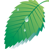 com.daakapps.hibernateapp