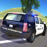 com.pickle.policeCarDT