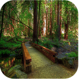 com.livewallpapersltd.snnaturelivewallpapers