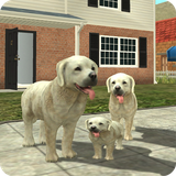 com.turborocketgames.dogsim