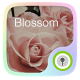 com.jiubang.goscreenlock.theme.blossom