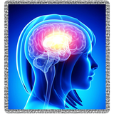 shabdizan.ir.app