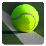 eu.oncreate.tennisplayerbeta