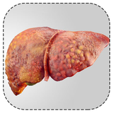 hameh.chiz.da.bare.y.kabed.chrb