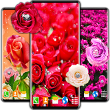 roses.diamonds.orange.red.sparkling.free.lwp