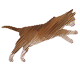 game.colonteam.pishi