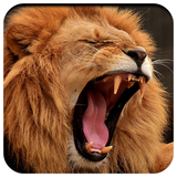 com.AgroplanDevs.LionKingWallpaper