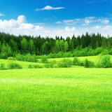 it.mm.android.relaxcountryside