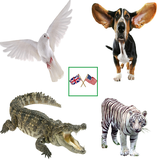 com.english.software.englishanimalsvocabulary