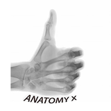 com.Medicalapp.AnatomyRadiograph