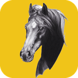 eng.maria.amani.horseriding