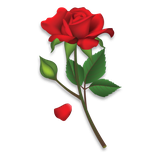 com.swidiri.rosesstickers