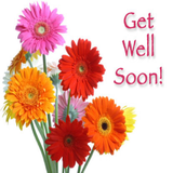 com.techzit.getwellsoonwishes