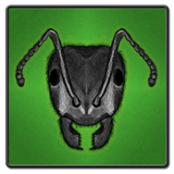 br.com.animvs.ants