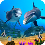 com.dg.dolphin.fish.simulator.live.wallpaperhd.freeapp