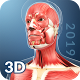 com.visual3dscience.muscle