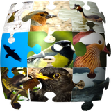 org.ornithopedia.Europe