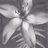com.newapps.charcoaldrawing