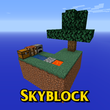 com.modmap.skyblock