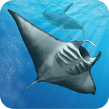 com.bitbros.oceandream