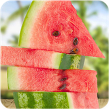 com.bigmax.watermelon.cutewatermelonwallpaper.watermelon.wallpaper.cool.offlinewallpapers.boys.girls.launcher.themes