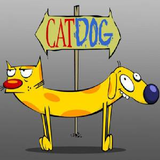 com.ir.catdog