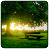 com.avarang.nature